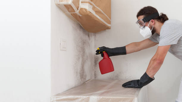 Professional Crawl Space Mold Removal technician working in Palisades Park, NJ