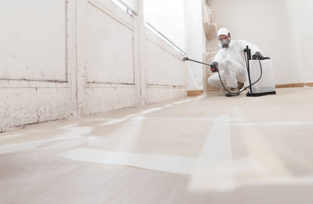 24/7 Emergency Crawl Space Mold Removal experts in Palisades Park, NJ