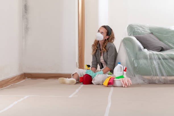 Reliable Mold Remediation contractor in Palisades Park, NJ by Cheap Mold Removal